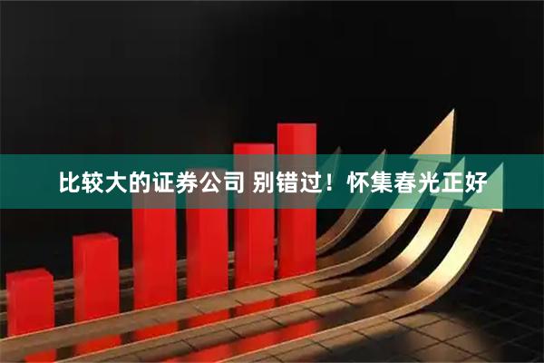 比较大的证券公司 别错过！怀集春光正好